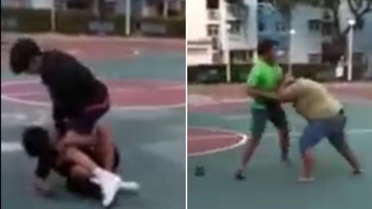 Police looking into viral video of brawl involving at least 9 boys at